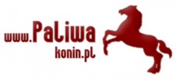 *    www.paliwakonin.pl    *