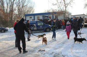 Pieski spacer przyciągnął tłumy do konińskiego schroniska