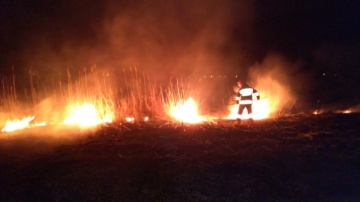 Stop pożarom traw. Strażacy odnotowali dziewięć takich zdarzeń