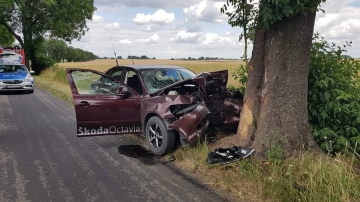 Wypadek w Przecławiu. Kierujący osobową skodą uderzył w drzewo