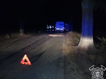 Groźny wypadek w Żelazkowie. Kierujący busem potrącił dzika