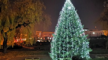 Świąteczne drzewka zdobią Konin. Zobaczcie miejskie choinki!