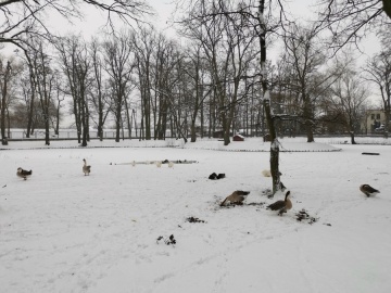 Park zimą żyje i jest równie piękny, jak w innych porach roku