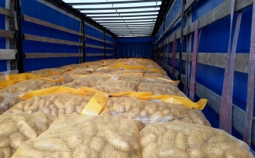 Międzynarodowy transport ziemniaków bez zabezpieczenia