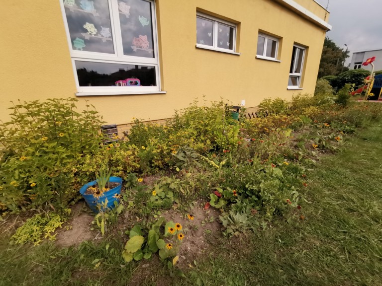 Leczenie ogrodem, czyli warsztaty kwiatowe Fundacji Podaj Dalej