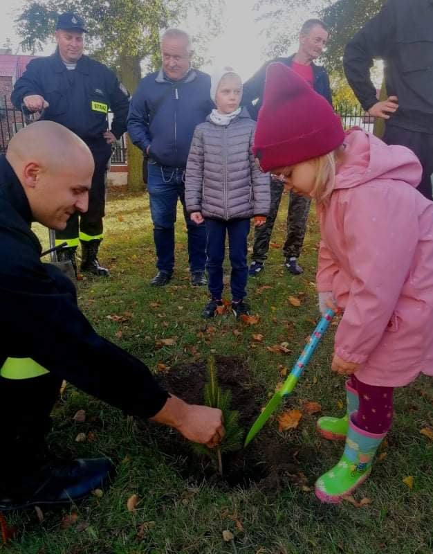 Posadzili 100 drzew na 100-lecie Związku Ochotniczych Straży Pożarnych