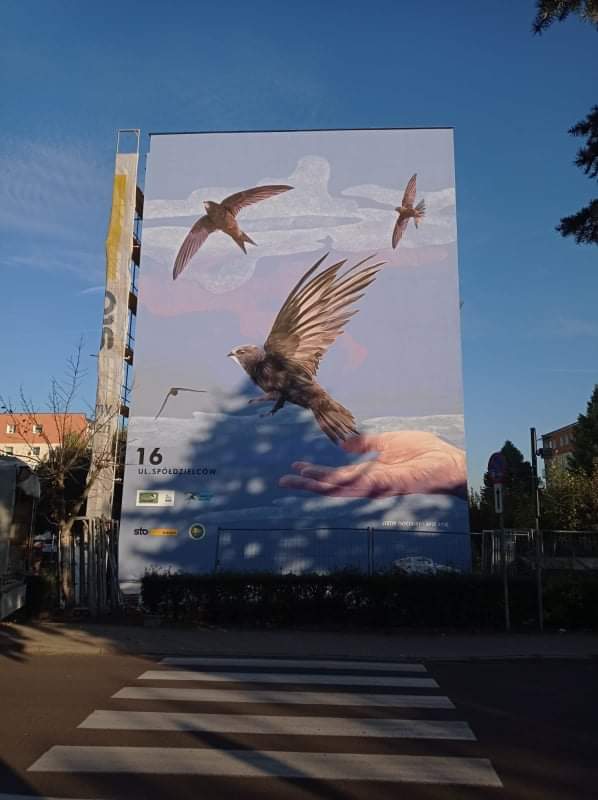 Ptasi mural na turkowskim osiedlu. Mieszkańcy mogą być dumni