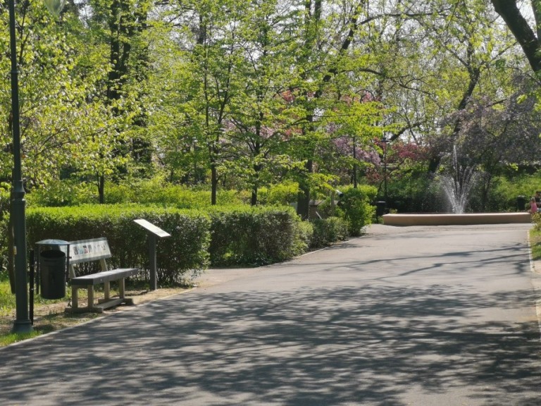 W konińskim parku Chopina nadaje „ptasie radio”. Informuje o wiośnie