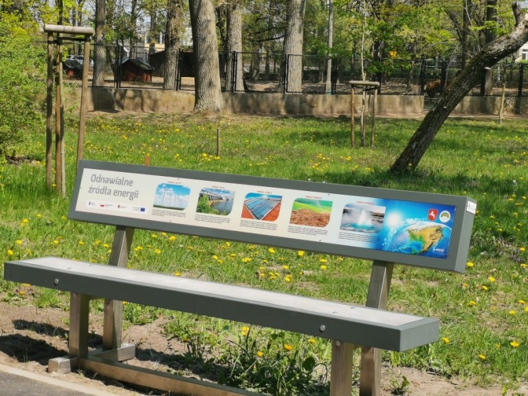 W konińskim parku Chopina nadaje „ptasie radio”. Informuje o wiośnie