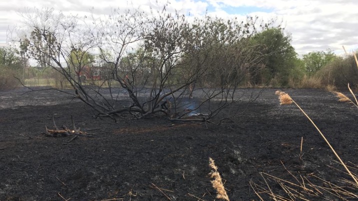 Spłonęło pół hektara trzciny i trawy w okolicy jeziora Niedzięgiel