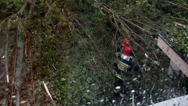 Konińscy strażacy usuwają skutki wichury. Przewrócone drzewa
