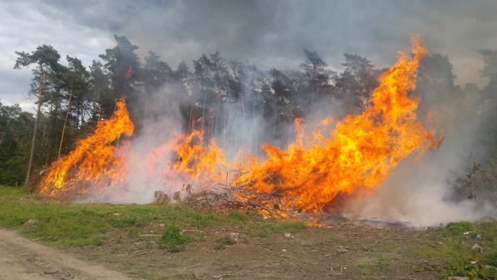 Pożar w Daninowie. Wójt gminy Kazimierz Biskupi wyznaczył nagrodę za informacje o podpalaczu